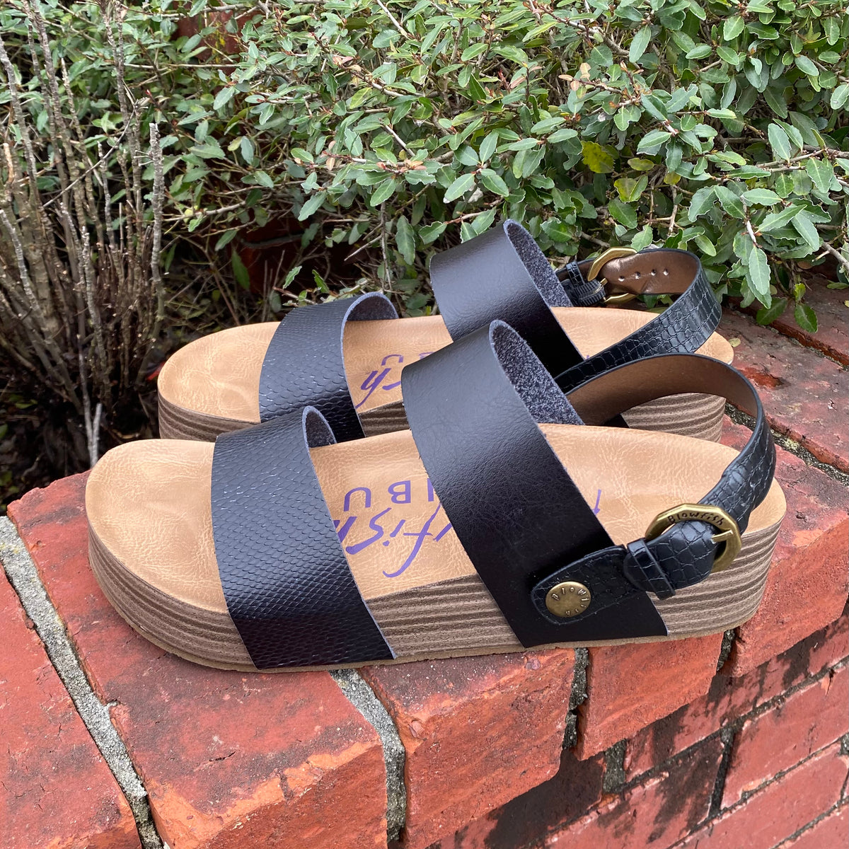 Blowfish marge sales sandals