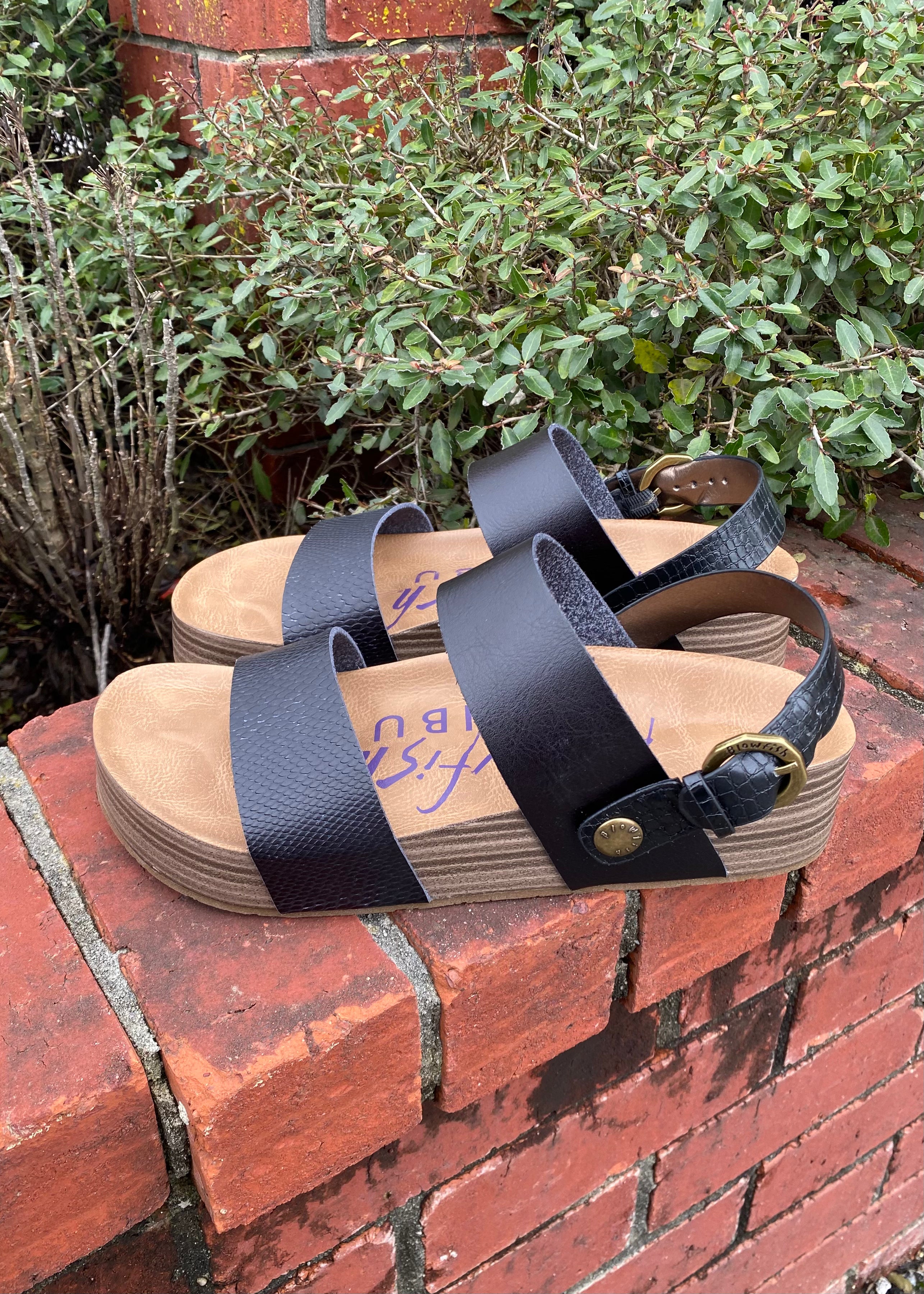 Blowfish marge sandals black best sale