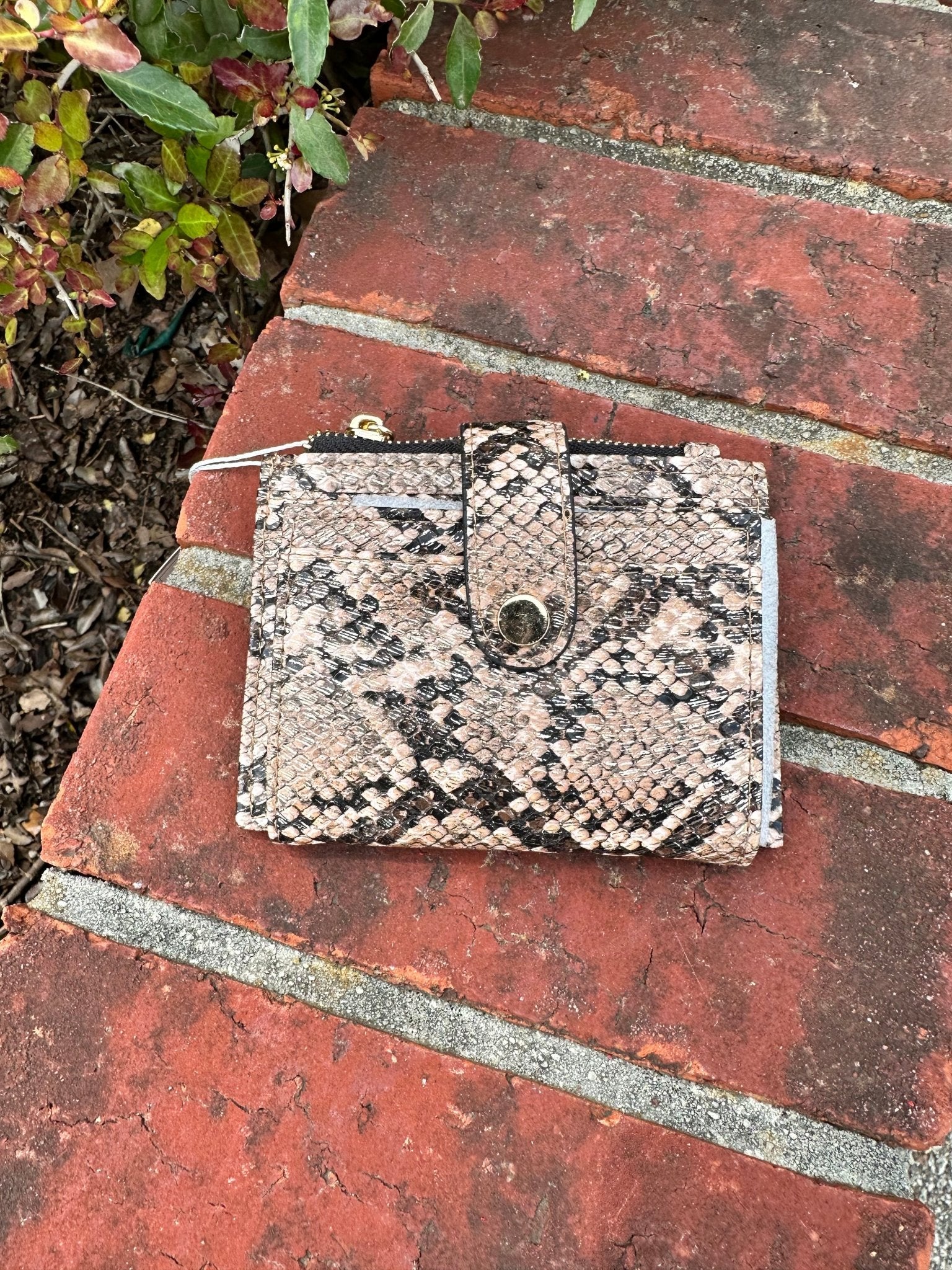 Sam Mini Snap Wallet/Card Holder - Jimberly's Boutique